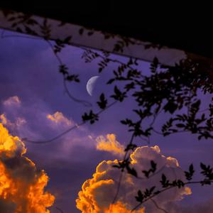 亚洲精品成人网
